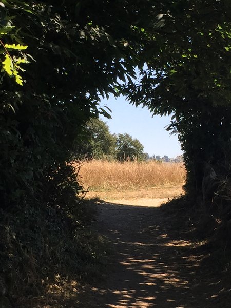 Reisebericht Jakobsweg Pfarrei St Ingbert Bistum Speyer - 